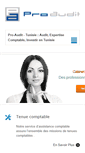Mobile Screenshot of proaudit-expertise.com